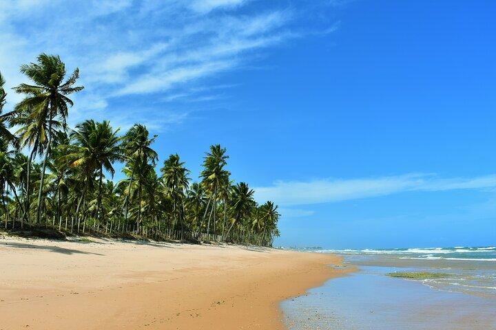 Ganztägige Strand -Tour von Salvador nach Praia do Forte