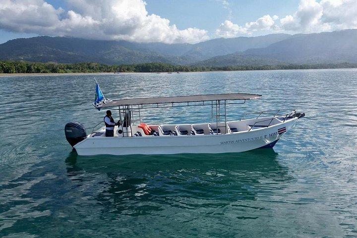 Bahia Ballena Whale and Dolphin Tour - Morning