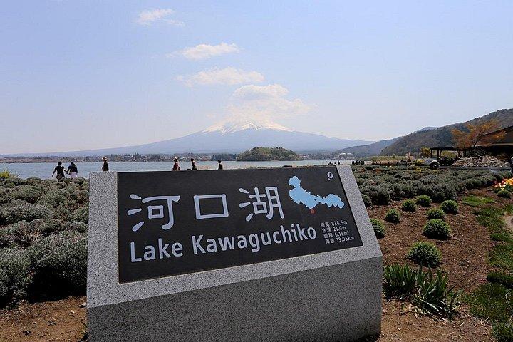富士山・河口湖・忍野八海・浅間公園日帰りツアー