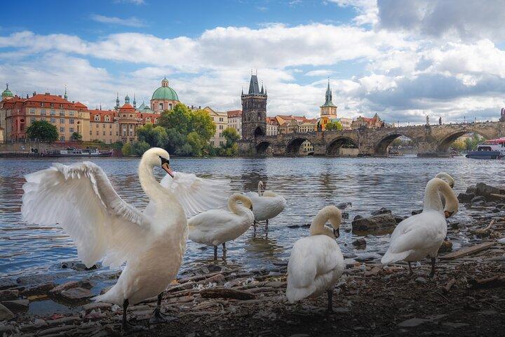 Privater Transfer von Prag nach München mit 2h Sightseeing