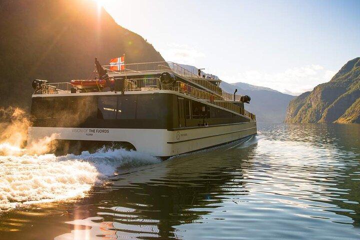 Privat guidad tur till Oslo Nærøyfjordkryssning och Flåmsjärnväg
