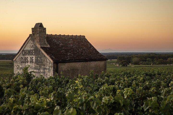 Heldags privat vintur i Côte de Nuits