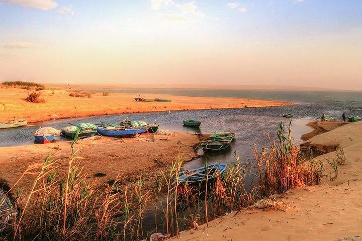 Fayoum Oasis en watervallen van Wadi El-Rayan Tour