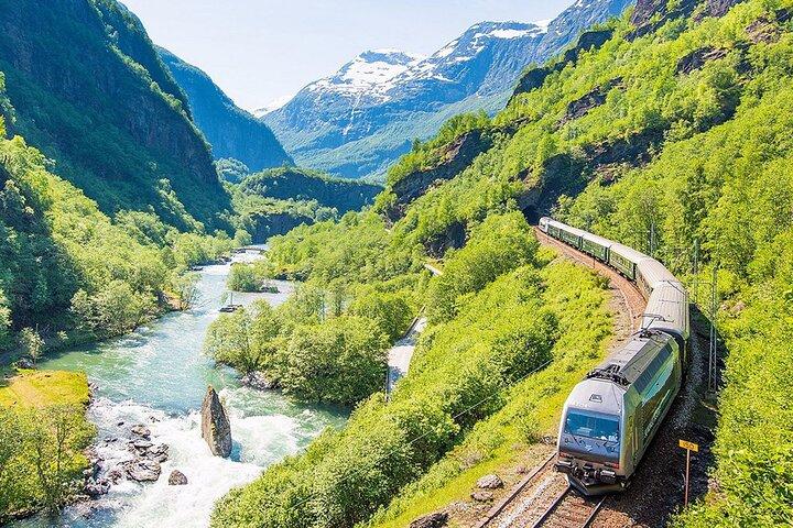 Privat guidad tur - Premium Nærøyfjord Cruise och Flåm Railway