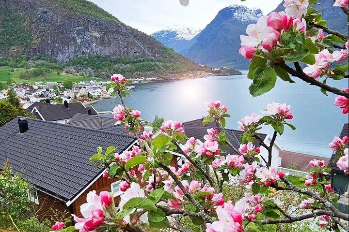 Visite guidée privée de la croisière Oslo Nærøyfjord et du chemin de fer Flåm