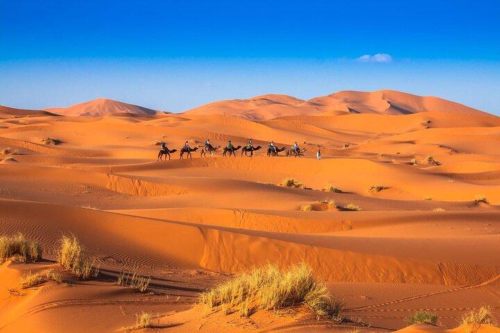 To dage og en nat ørkeneventyr fra Marrakech til Zagora