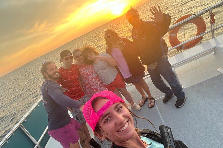 Sunset Dolphin kryssning