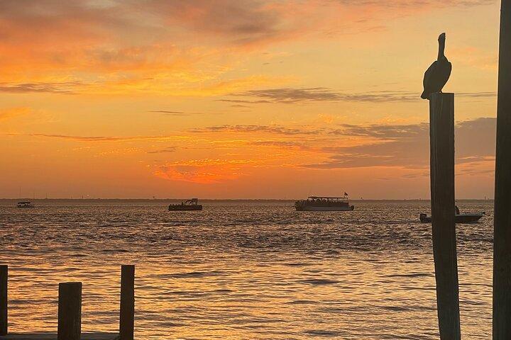 Sunset Dolphin kryssning