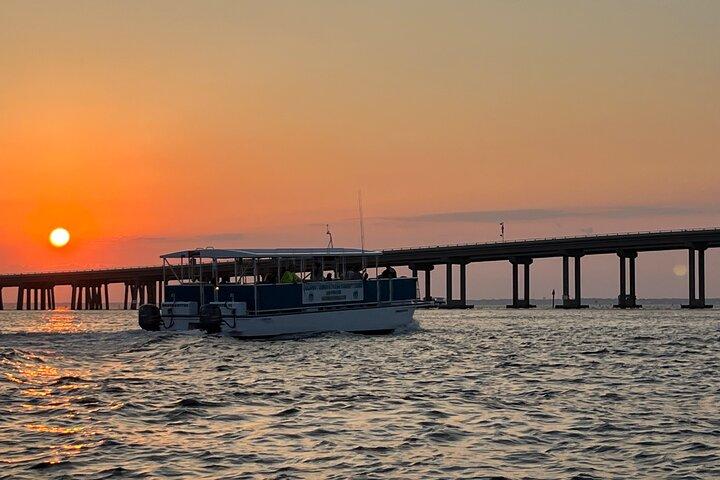 Sunset Dolphin kryssning