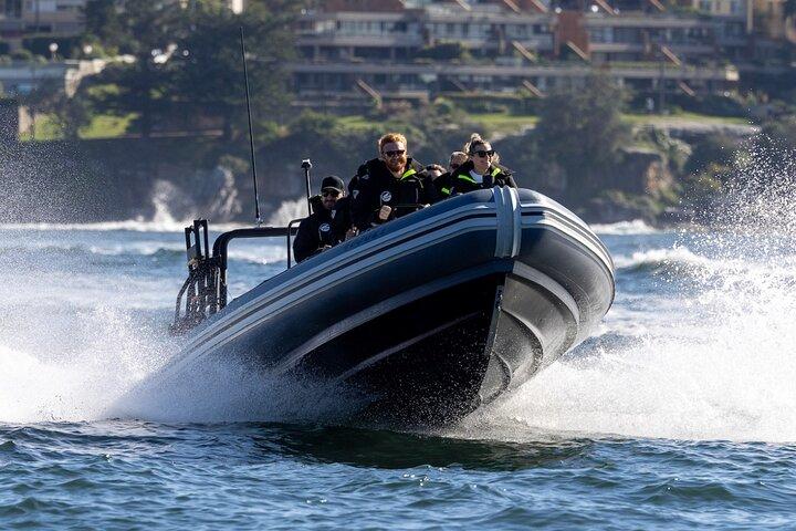 Sydney Whale Watching en ORCA Small RIB