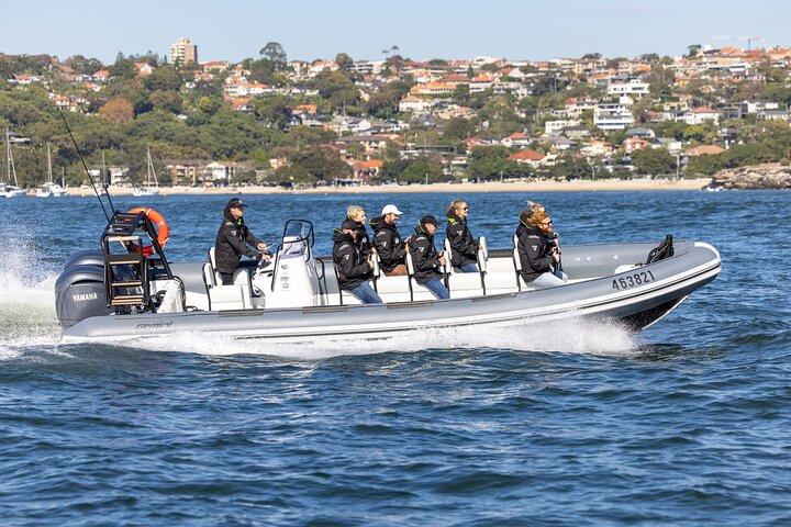 Sydney Whale Watching en ORCA Small RIB