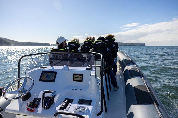 Sydney Whale Watching on ORCA Small RIB