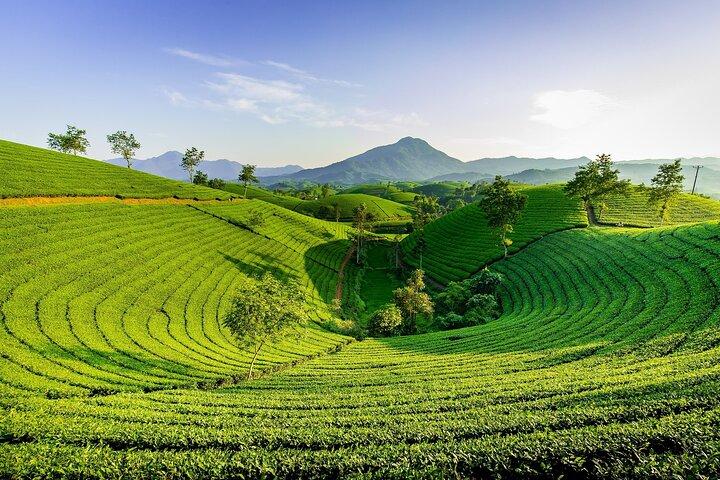 7 Days Sri Lanka Sightseeing Tour