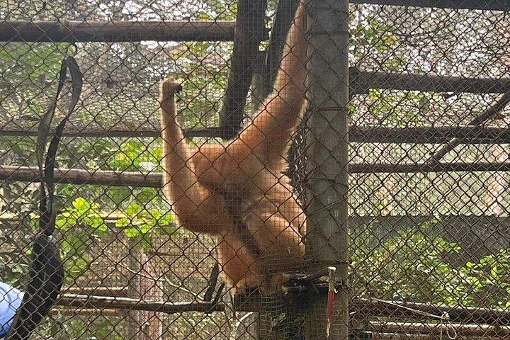 タムコック・クック・フォン・ヴァンロン自然保護区での2日間のプライベートツアー