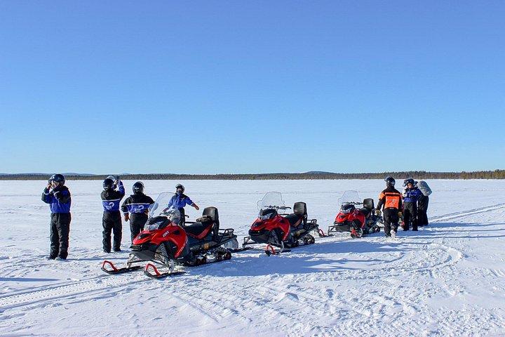 Safari in motoslitta di 3 ore intorno a Levi con pausa caffè