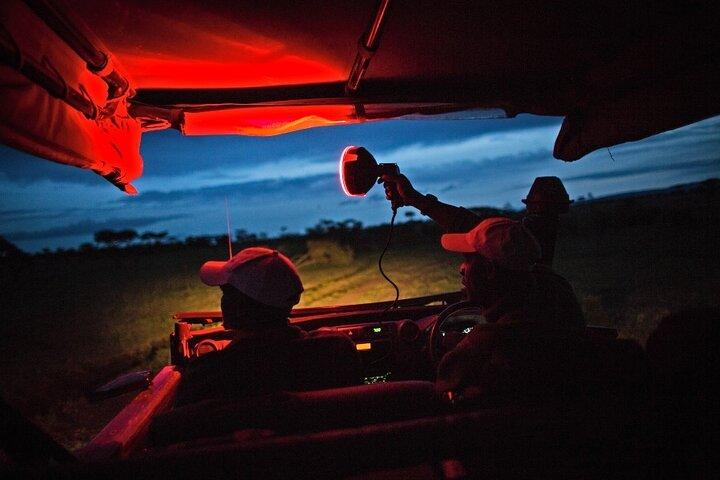 5-dagars nattsafariäventyr över den ikoniska Lake Manyara, kratern