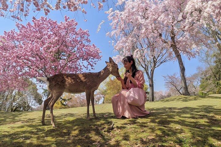 Taste of Nara Un tour gastronomico guidato di mezza giornata su misura per i tuoi gusti
