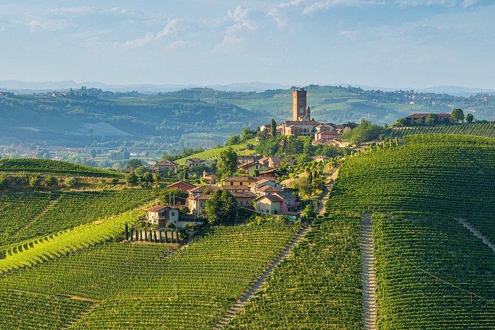 From Milan: Barolo Private Wine Tour with a Private Driver