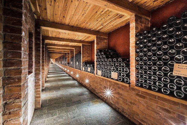 From Milan: Barolo Private Wine Tour with a Private Driver