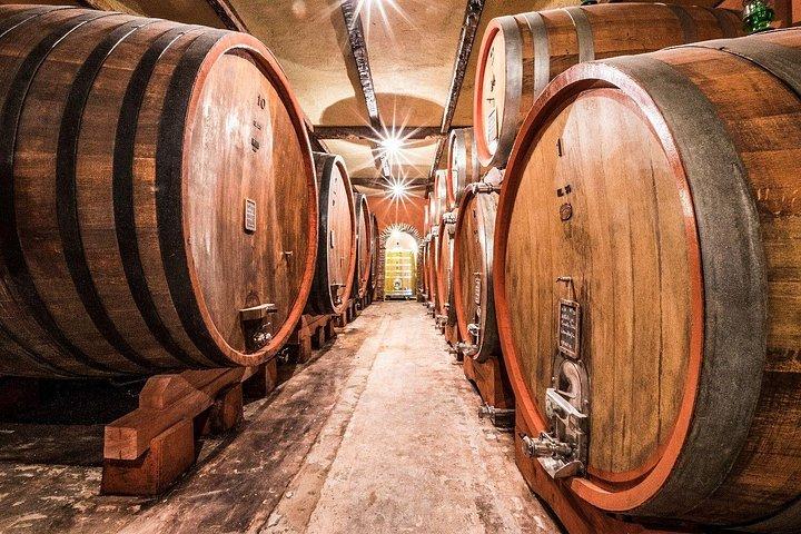 From Milan: Barolo Private Wine Tour with a Private Driver