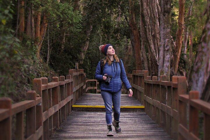 Crociera sul lago Nahuel Huapi con Victoria Island e Arrayan Forest Walk