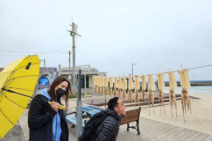 [Privé] East Jeju UNESCO & Sea Women : Selecteer NL Gids Niveau