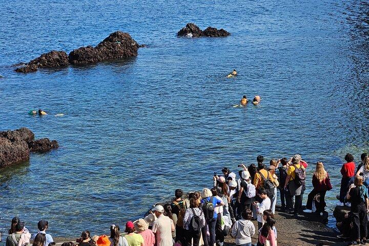 [Privé] East Jeju UNESCO & Sea Women : Selecteer NL Gids Niveau