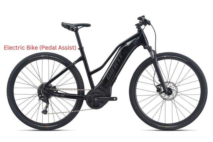 Los Angeles Fahrradverleih oder Fahrradverleih : Pedal oder elektrische Optionen