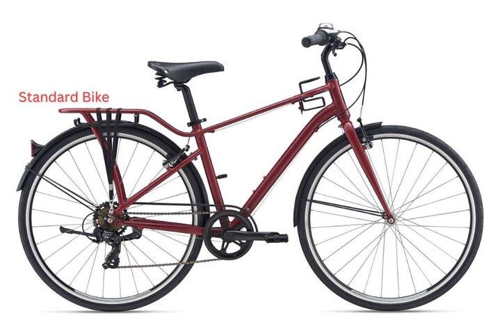 Los Angeles Fahrradverleih oder Fahrradverleih : Pedal oder elektrische Optionen
