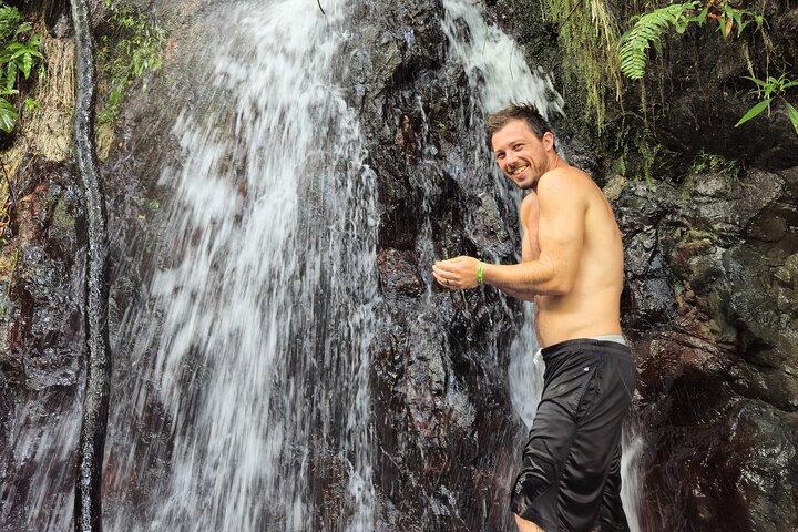 El Yunque Rainforest and Luquillo Kiosk Day Trip