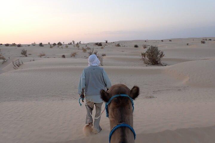 Sahara 1 Night Bivouac Desert Dunes Camel Trek with Camping