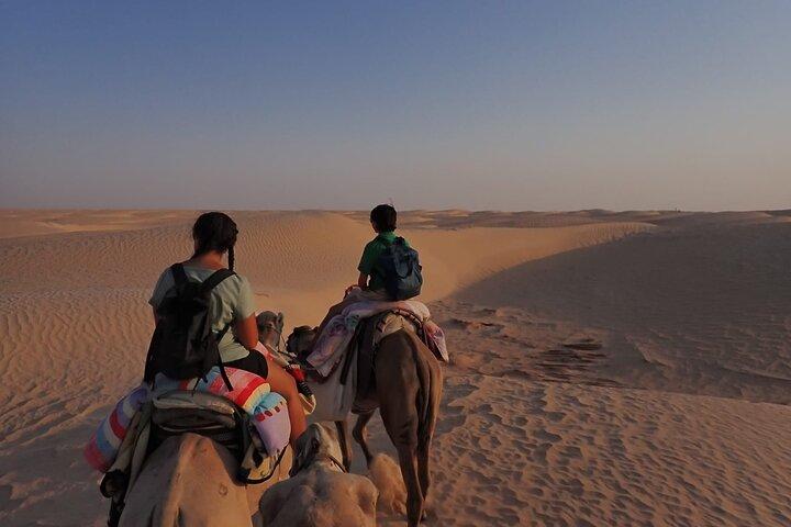Sahara 1 Night Bivouac Desert Dunes Camel Trek with Camping