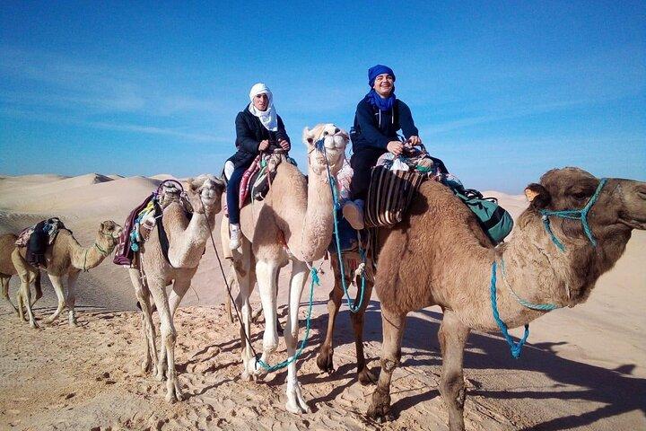 Sahara 1 Night Bivouac Desert Dunes Camel Trek with Camping