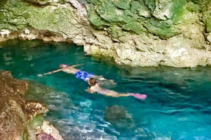 Jozani Forest Kuza Cave The Rock Restaurant and Paje Beach
