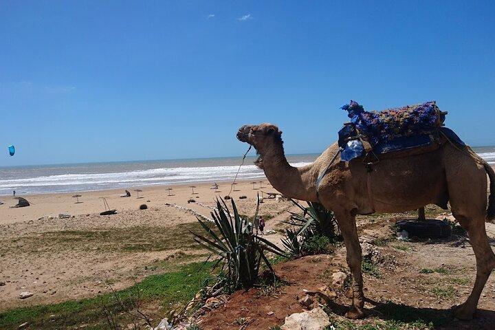 Essaouira: Quad Cap Sim discovering Sidi Kaouki