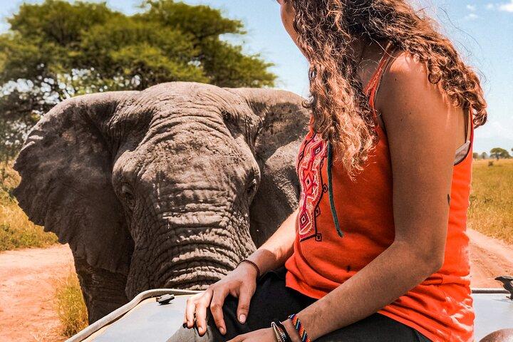 3 Days Safari to Tarangire and Ngorongoro Crater