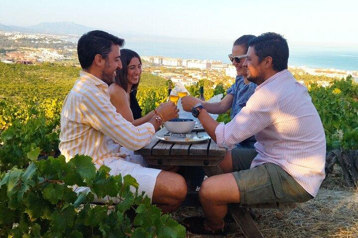 Manilva Oceanfront Wine Experience na área de Marbella