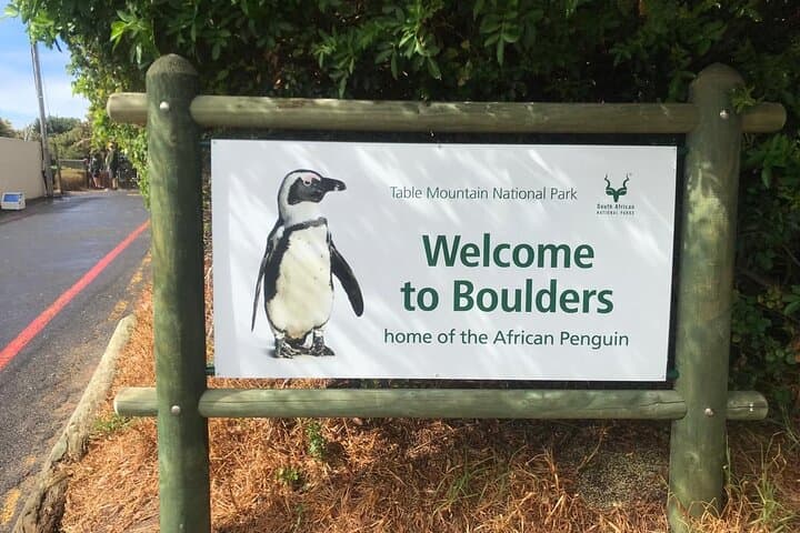 Robben island, penguins,cape of Good Hope private from Cape Town
