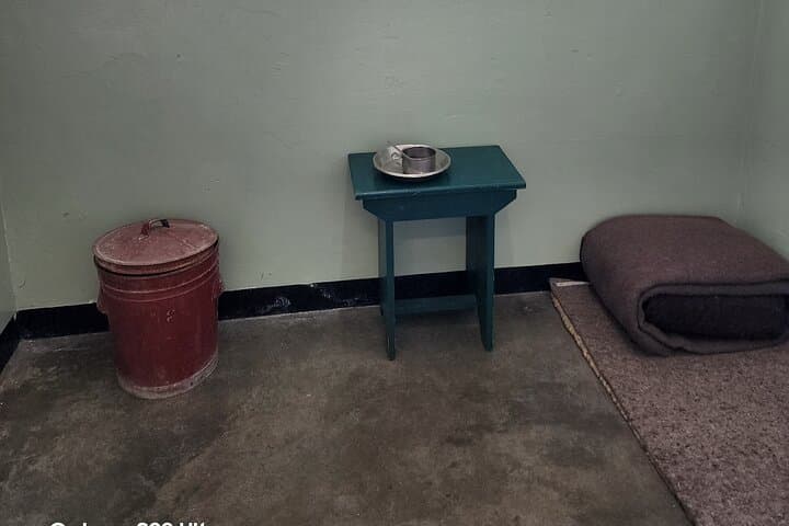 Robben island, penguins,cape of Good Hope private from Cape Town