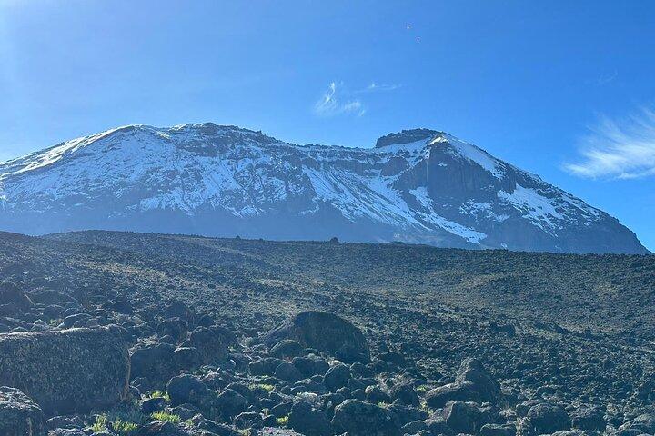 Kilimanjaro Day Hike from Arusha/Moshi | ISMANI TOURS AND SAFARIS