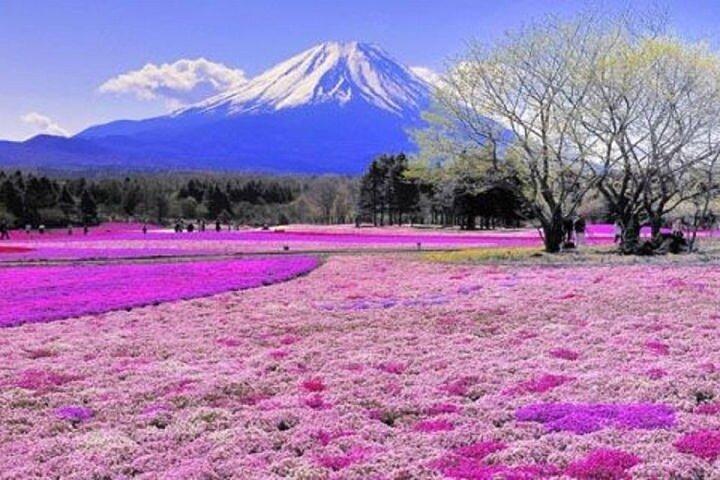 プライベート富士山と箱根1日ツアー