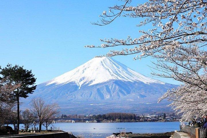 Private Mount Fuji and Hakone One Day Tour