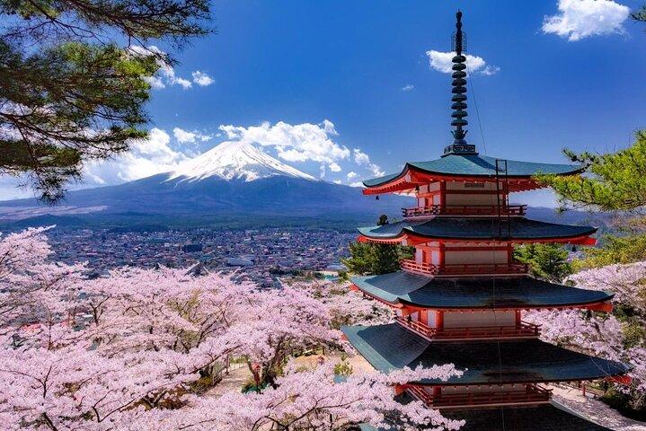 Private Mount Fuji and Hakone One Day Tour