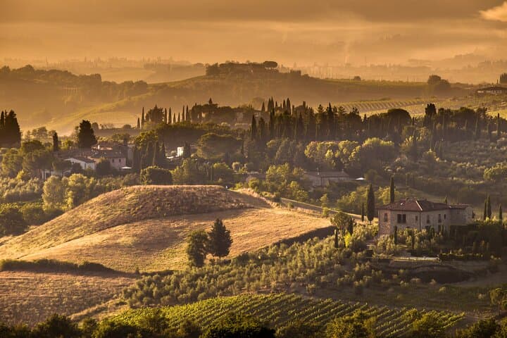 Tuscany & Assisi Small Group Day Trip from Rome with Wine Tasting
