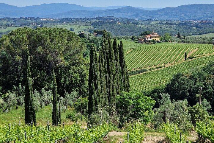 Tour privado de 2 bodegas de Chianti Classico Limo Service