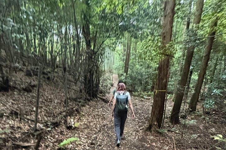 Hiking in Fushimi Inari and its 10,000 Gates