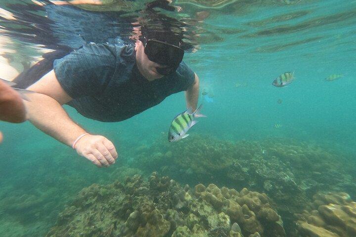 Excursion d'une journée avec plongée libre dans la baie Maya et déjeuner sur l'île de Phi Phi - Phuket