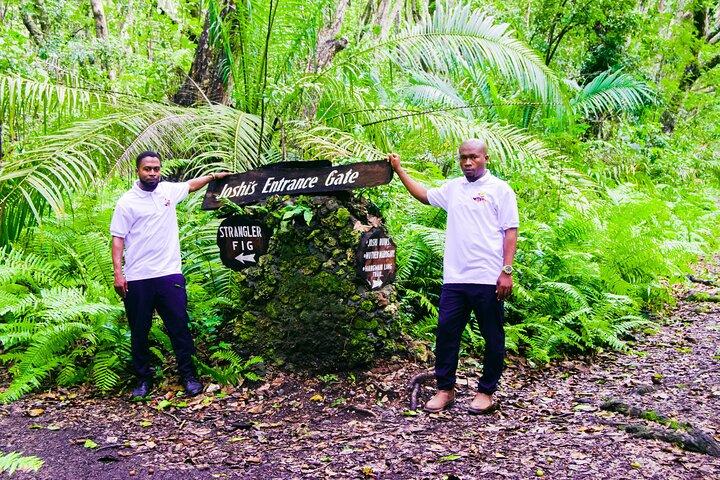 Tour privado de día completo por el bosque Jozani y las especias de Zanzíbar