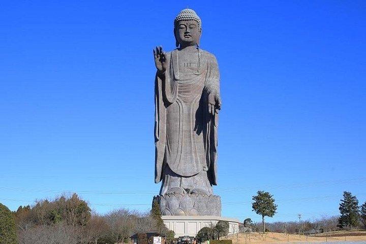 ひたち海浜公園、大洗海鳥居＆大仏チケット付き