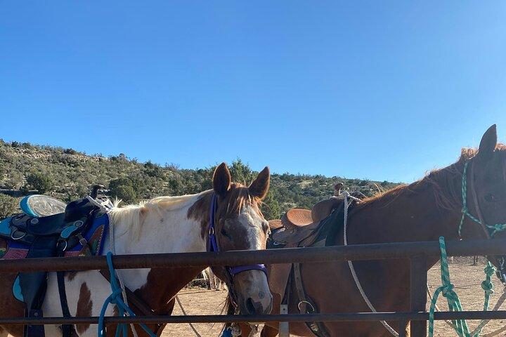 Tour a caballo por el Gran Cañón